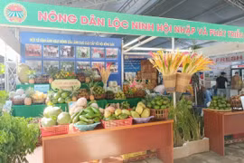 Bình Phước tổ chức Hội chợ trái cây và hàng nông sản lần thứ VI