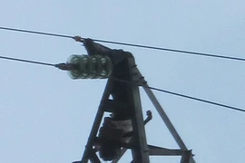 Xác chết 15 ngày vắt vẻo trên cột điện cao thế 50m