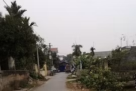 Vợ đâm chồng đến chết