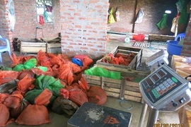 Lật chiêu trò buôn lậu tê tê từ Việt Nam sang TQ