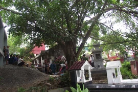 Cùng quẫn người đàn ông treo cổ trước mộ cha