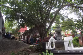 Cùng quẫn người đàn ông treo cổ trước mộ cha