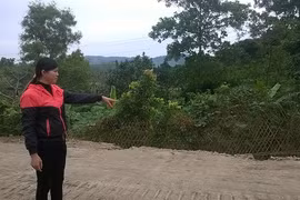 Chi trăm triệu làm sổ đỏ vẫn bị thu hồi đất: LS nói gì?