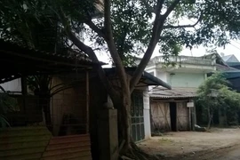 GĐ TT bồi dưỡng chính trị huyện tự tử: Uẩn khúc gì?