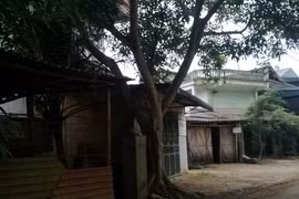 GĐ TT bồi dưỡng chính trị huyện tự tử: Uẩn khúc gì?