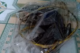 Đột tử khi sờ vào chó chết