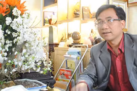 Chuyên gia tư vấn chọn đá phong thủy năm Ất Mùi