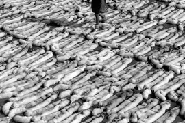 Khám phá thị trấn làm lông thú lớn nhất thế giới