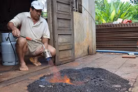 Cuộc sống đảo lộn vì những vị khách động vật không mời