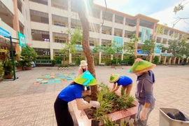 TP. HCM: Chỉ 1 Cty dự gói thầu sửa chữa Trường TH Tây Bắc Lân