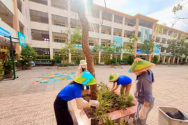 TP. HCM: Chỉ 1 Cty dự gói thầu sửa chữa Trường TH Tây Bắc Lân