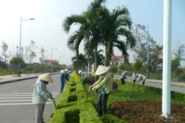 Duy nhất liên danh tham gia trúng gói thầu gần 9 tỷ ở Nhà Bè 