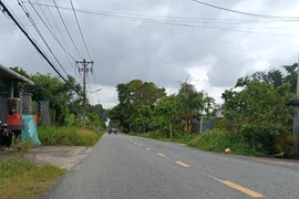 TP HCM: Công ty Nam Thanh 68 dự 10 gói thầu tại Củ Chi