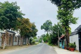 TP. HCM: Ít cạnh tranh, Quảng cáo Phú Mỹ trúng gói thầu hơn 10 tỷ 