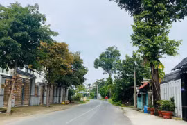 TP. HCM: Ít cạnh tranh, Quảng cáo Phú Mỹ trúng gói thầu hơn 10 tỷ 