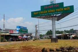 Đồng Nai: An Phước và những gói thầu “một mình một ngựa” 