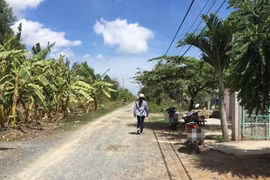 Duy nhất Kiến Gia Hưng dự thầu gói thầu giá 1,9 tỷ của Phòng QLĐT Cần Giờ