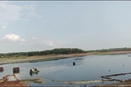Đồng Nai: Đã thu gom hết 200 tấn cá nổi trắng hồ Sông Mây