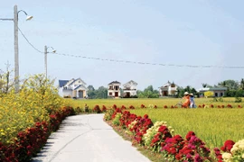 Long An: Ngân Phát Vinh một ngày trúng liền 2 gói xây lắp tại Tân Phước Tây