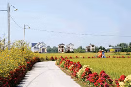 Long An: Ngân Phát Vinh một ngày trúng liền 2 gói xây lắp tại Tân Phước Tây