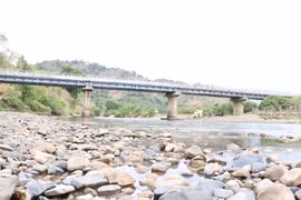 Hàng ngàn ha cây trồng “khát” nước ở Lâm Đồng, Bình Thuận