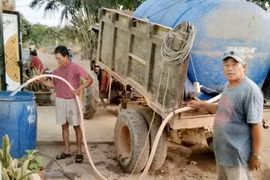 Bình Thuận: Suối khô, giếng cạn người dân phải mua nước giá cao