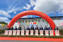 Hệ thống công trình biến nhiều dòng kênh ở TP HCM xanh trở lại