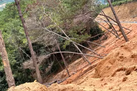 Lâm Đồng: Thi công dự án rác đè đổ hơn 100 cây thông