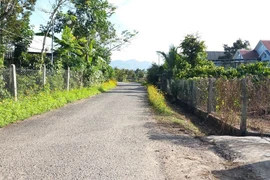 Công ty Mai Huy Lâm Đồng liên tiếp trúng thầu tại xã Lộc Thành