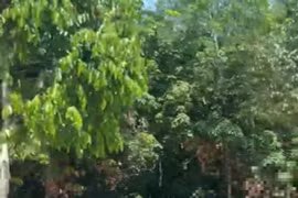 Bình Dương: Xác minh nhóm thanh niên chụp ảnh khỏa thân trên đường