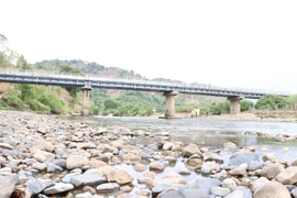 Hàng ngàn ha cây trồng “khát” nước ở Lâm Đồng, Bình Thuận