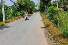 TP HCM: Cty Duy Bình 1 ngày trúng 3 gói thầu tại UBND xã Đa Phước