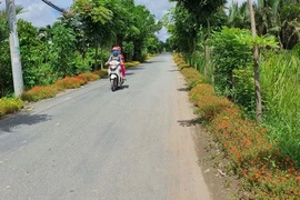 TP HCM: Cty Duy Bình 1 ngày trúng 3 gói thầu tại UBND xã Đa Phước