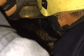 Giải cứu một người phụ nữ và bé trai 8 tháng tuổi bị kẹt trong thang máy ở Sài Gòn