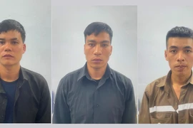 Khởi tố 3 đối tượng trộm cắp tài sản tại khu Đồi Rồng