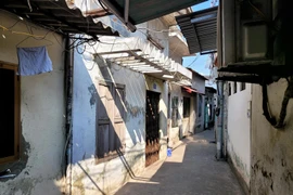 Hải Phòng: Đang điều tra vụ con trai sát hại mẹ già 77 tuổi