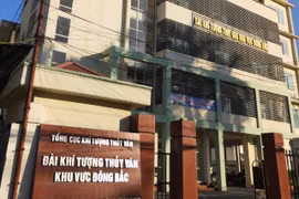 Đài KTTV khu vực Đông Bắc cho thuê đất rừng phòng hộ trái luật?