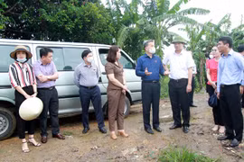 Hải Phòng: Công khai đường dây nóng phản ánh về ô nhiễm môi trường