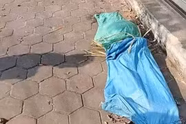 Thông tin mới nhất vụ thi thể nữ giới trong bao tải ở Hải Phòng