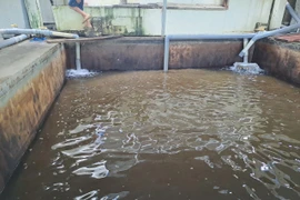 Dân kêu nước bẩn: Nhà máy nước đồng ý chuyển giao cho đơn vị khác