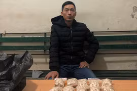 Hải Phòng: Bắt đối tượng có 3 tiền án, thu hàng nghìn viên thuốc lắc