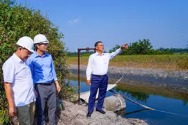 Hải Phòng: Gỡ khó cho NM thạch cao và xử lý chất thải của DAP