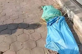 Hải Phòng: Phát hiện thi thể phụ nữ trong bao tải