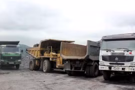 Bí thư Quảng Ninh: Không có “vùng cấm” xử lý khai thác than trái phép