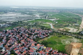 Nhà đầu tư băn khoăn có nên mua đất đấu giá vào cuối năm 