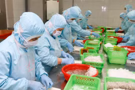 Bất ngờ trước mức lương cao nhất được chi trả ở Cần Thơ