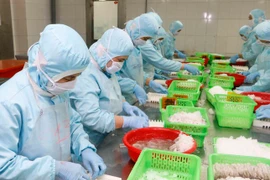 Bất ngờ trước mức lương cao nhất được chi trả ở Cần Thơ