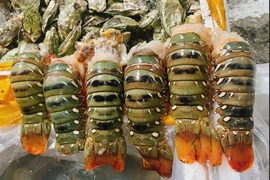 Lý do khiến hải sản ‘quý tộc’ được bán giá siêu rẻ năm 2024