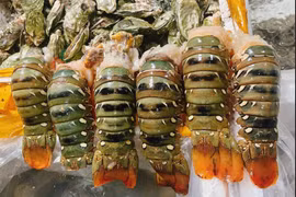 Lý do khiến hải sản ‘quý tộc’ được bán giá siêu rẻ năm 2024