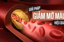 Thực đơn vàng cho người máu nhiễm mỡ